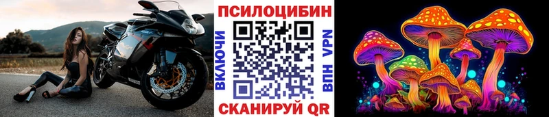 Галлюциногенные грибы мухоморы  Шлиссельбург 