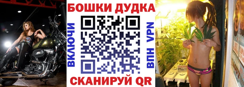 Конопля Bruce Banner  площадка формула  Шлиссельбург  дарнет шоп 